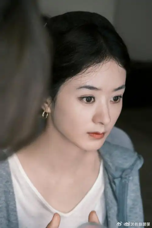 赵丽颖本月行程更新