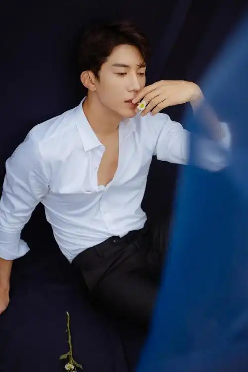 白衬衣帅哥写真:心中有丘壑,眉目做山河