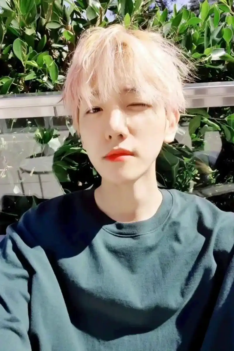 自拍达人.#边伯贤 #baekhyun #exo #向全世界 - 抖音