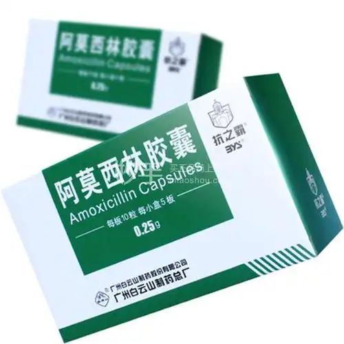 抗之霸阿莫西林胶囊025g10粒5板
