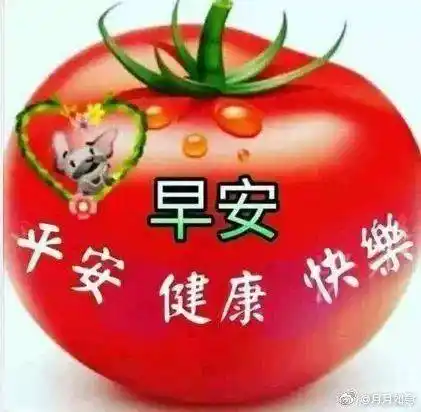 寒冷冬季特别漂亮的早上好鲜花动态表情早安问候语