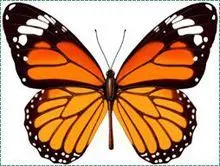 什么是轴对称图形