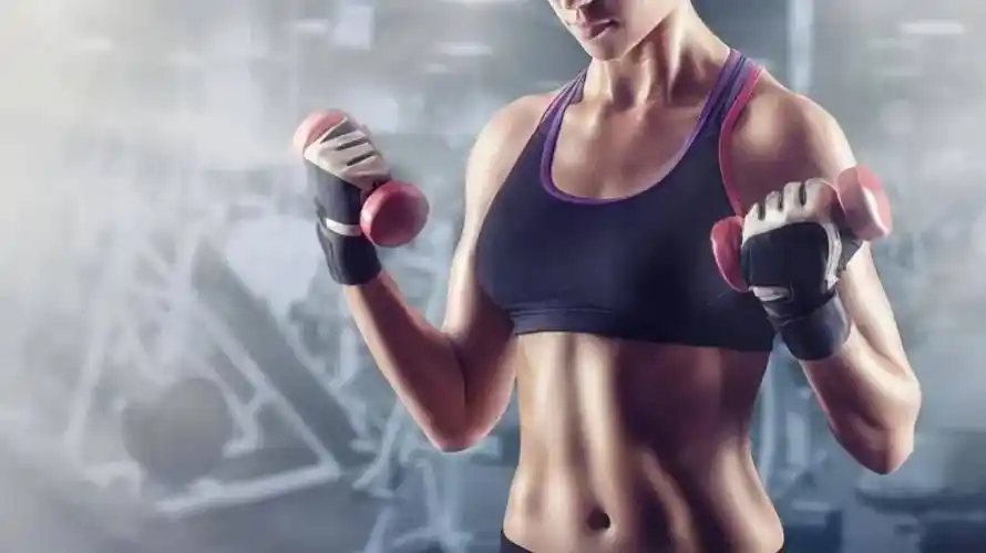 训练_动作_腰腹部