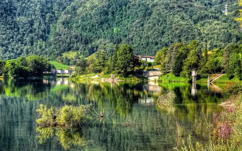 树木,森林,山峦,村庄,湖泊 壁纸