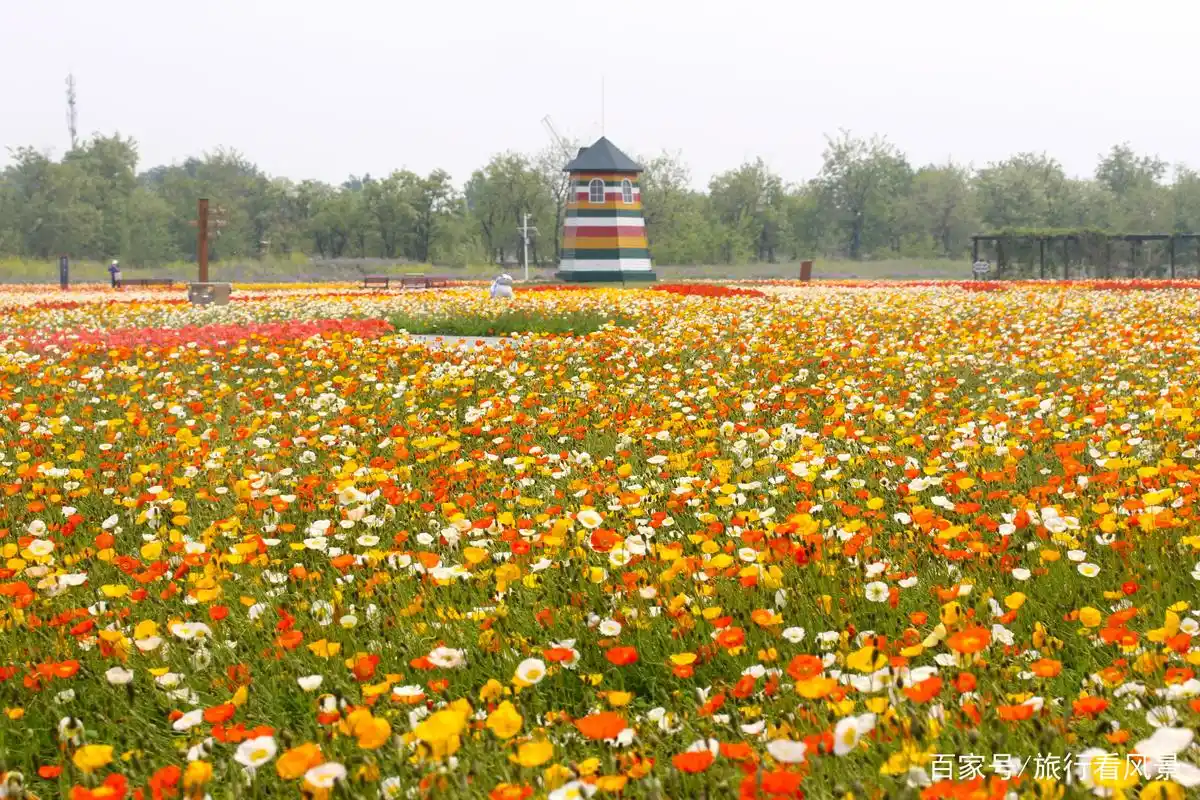 北京藏着一片神仙花海,宛如人间仙境,五一假期好去处