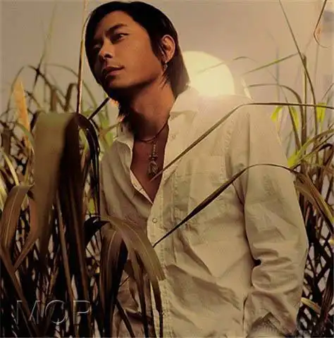 微信头像图片 微信头像制作(2)_布阁拉