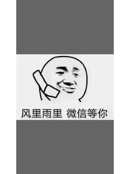 风里雨里微信等你