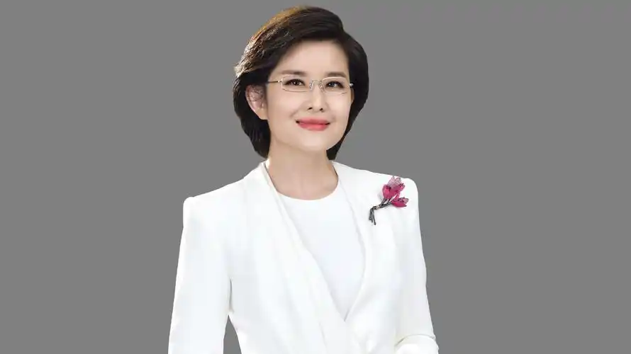 王宁中央广播电视总台央视新闻频道主持人,担任cctv-13新闻人物访谈