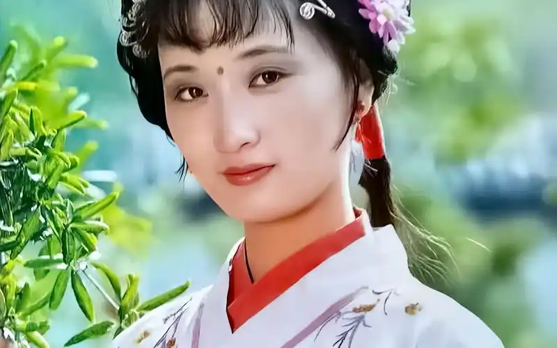 【超清修复】这可能是你看到过最清晰的红楼梦剧照(源文件见视频简介)