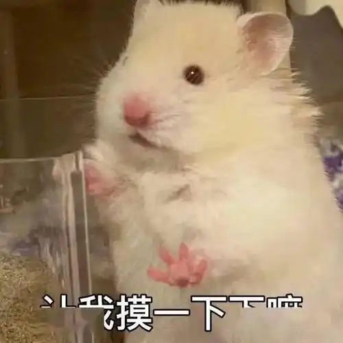 污污瑟瑟撩人色色表情包