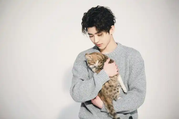 蔡徐坤 - 堆糖,美图壁纸兴趣社区