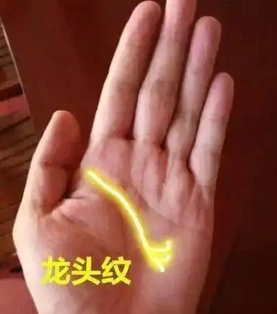 事业_手相_女人