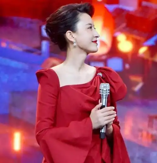 央视名嘴私生活的谣言有多离谱|张蕾|董卿|春晚|央视主持人王静_网易