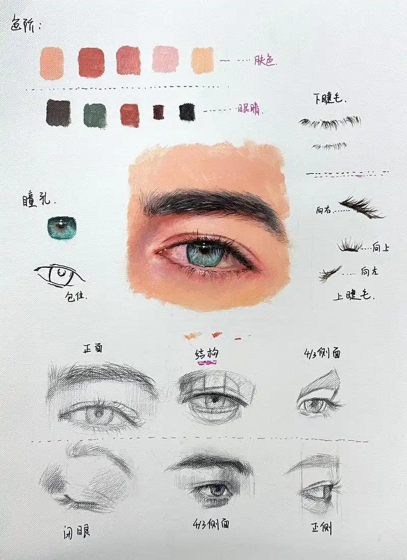 五官单个分解详细讲解课程～材料:布面丙烯#一起学画画 #人物 - 抖音