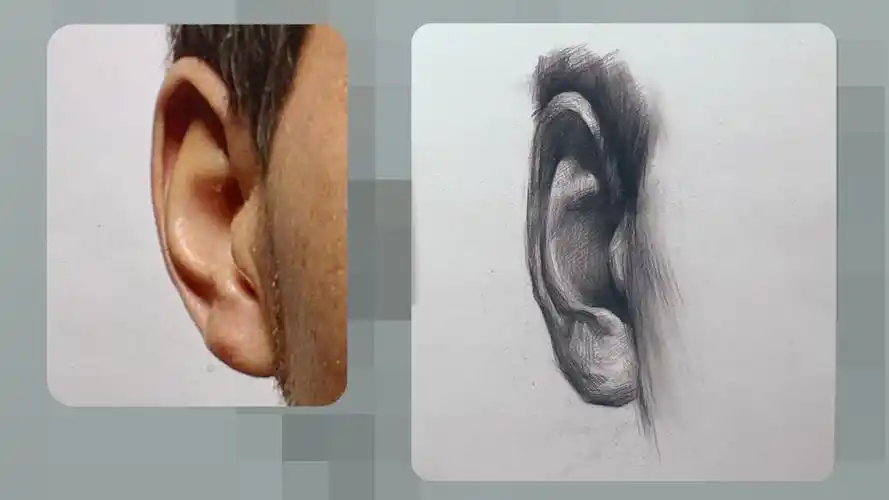 北京010画室程逸帆素描头像五官正面耳朵5分钟