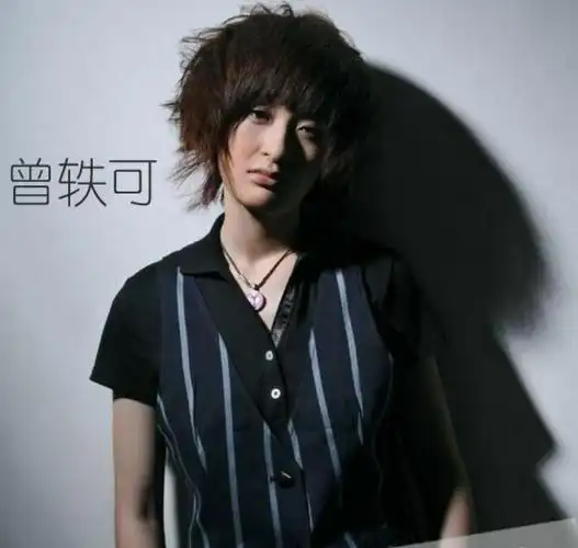 今天,我们将聚焦于一位颇具争议的艺人,她曾是《快乐女声》的耀眼之星