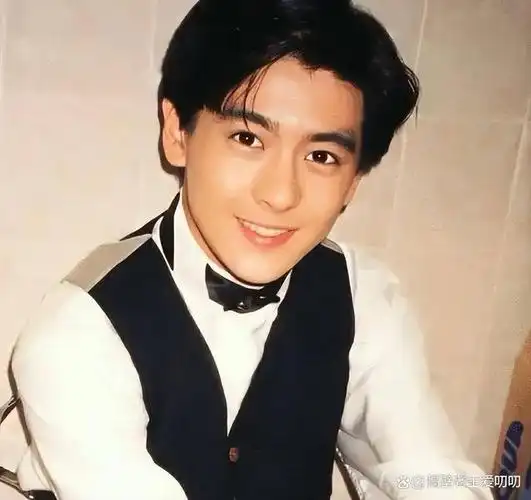 只能说林志颖成熟了不接受他老了!还记得十七岁那年的雨季吗?