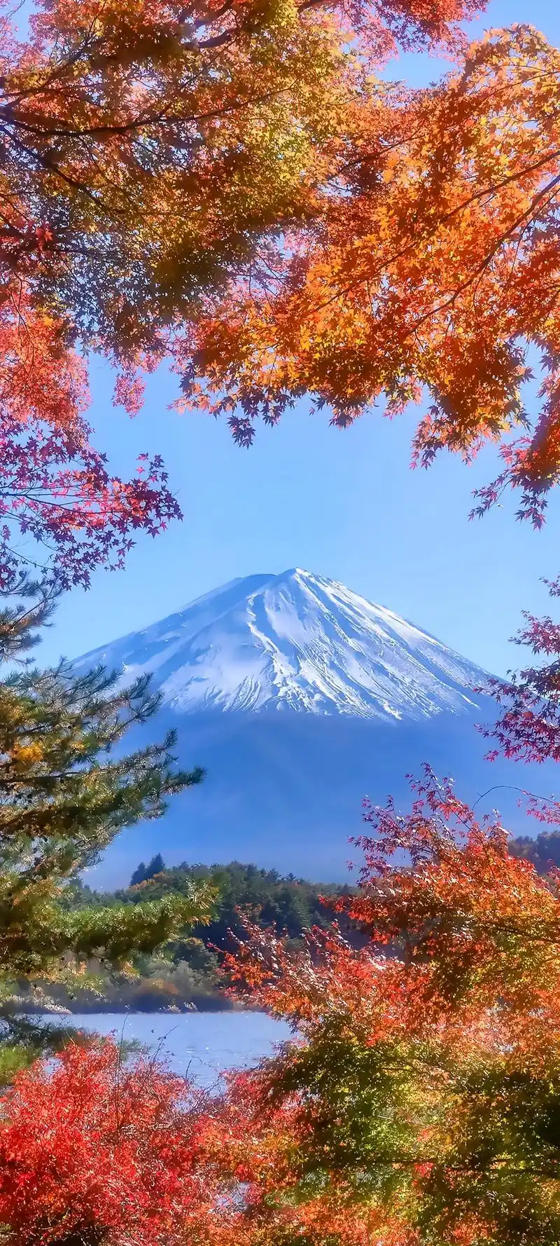 风景#壁纸手机超清全面屏  - 抖音