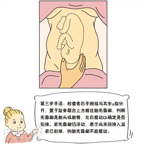 学会抚摸胎宝宝的位置
