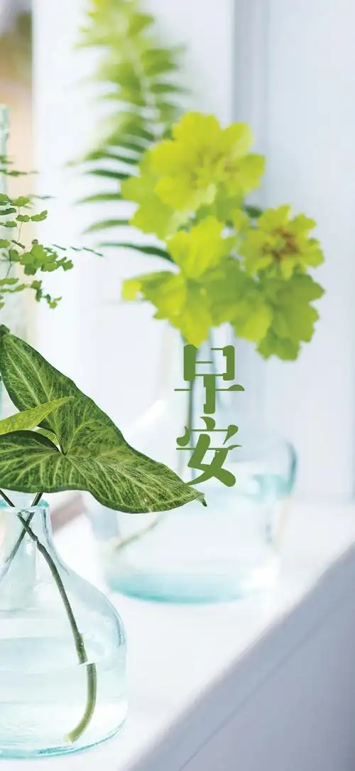 早安人之所以伤心是因为看得不够远