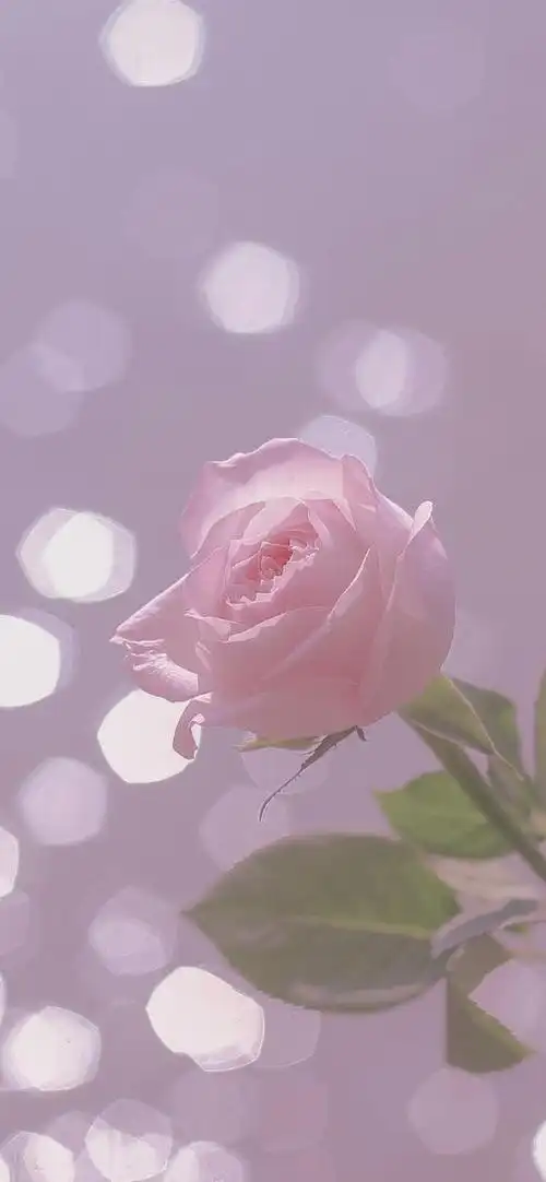 小清新壁纸|做自己就好了,这世界本不完美