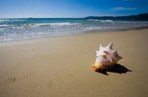 三亚旅游海南岛贝壳海滩高清壁纸