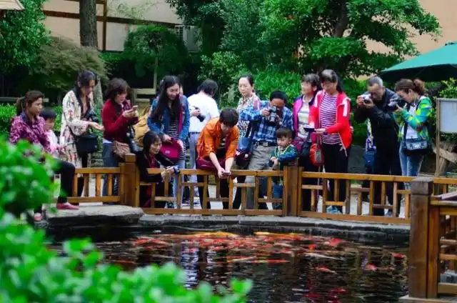 亲子活动天天有,锦绣江南欢迎您