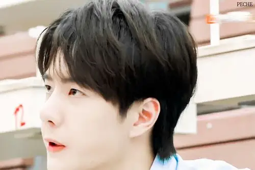 王一博 - 堆糖,美图壁纸兴趣社区