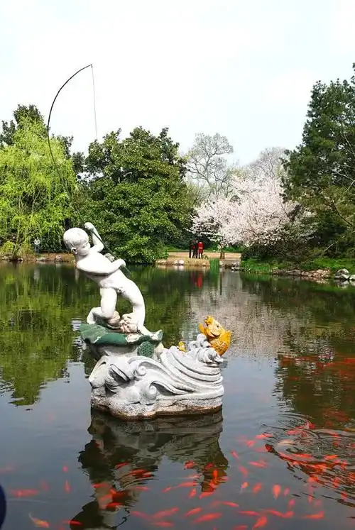 西湖十景之花港观鱼——一个不只有鱼的景区!