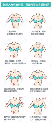 你知道大胸到底有多大吗听说f罩杯相当于