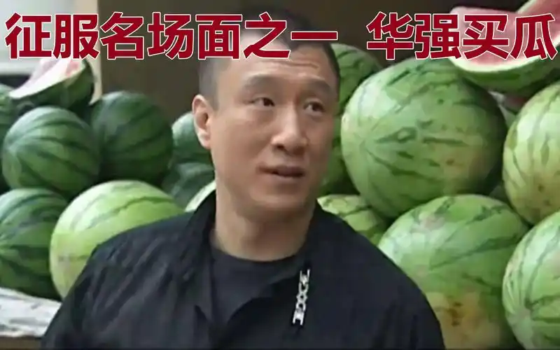 征服名场面第九集刘华强买瓜[原版]视频