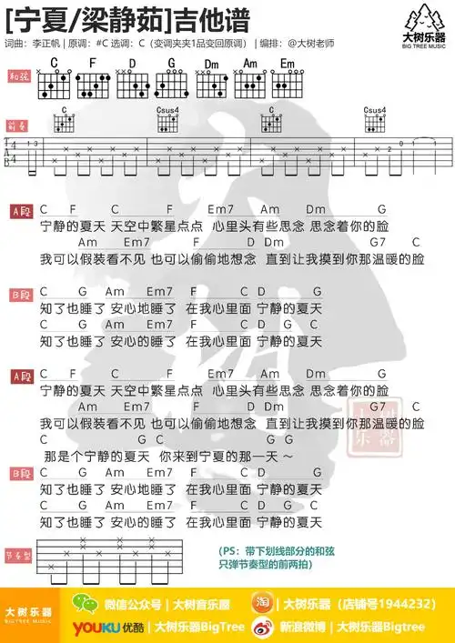 宁夏吉他谱(图片谱,弹唱,和弦谱,大树乐器)_梁静茹(fish leong)_模板