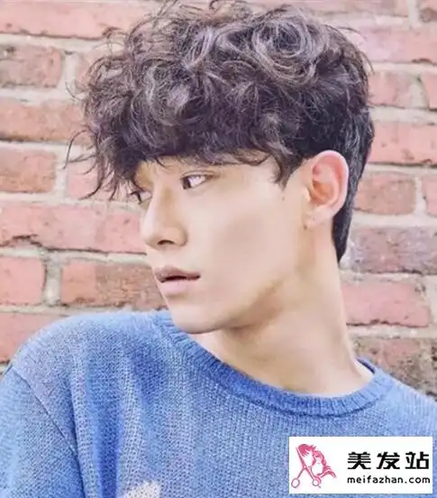 男生泰迪卷发型