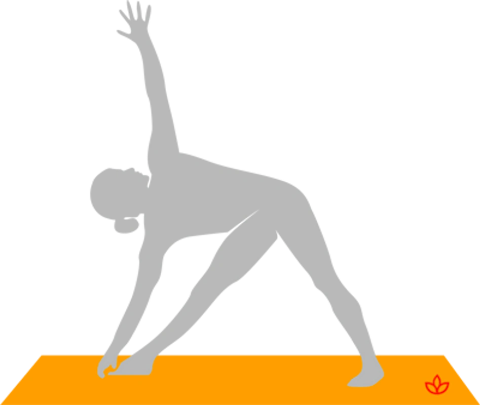 三角式瑜伽动作讲解