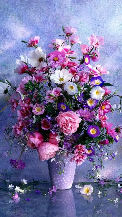 各种鲜艳的花儿,高清图片,手机锁屏桌面-壁纸族