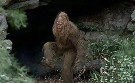 北纬30度十大禁区:神秘的四川黑竹沟之谜