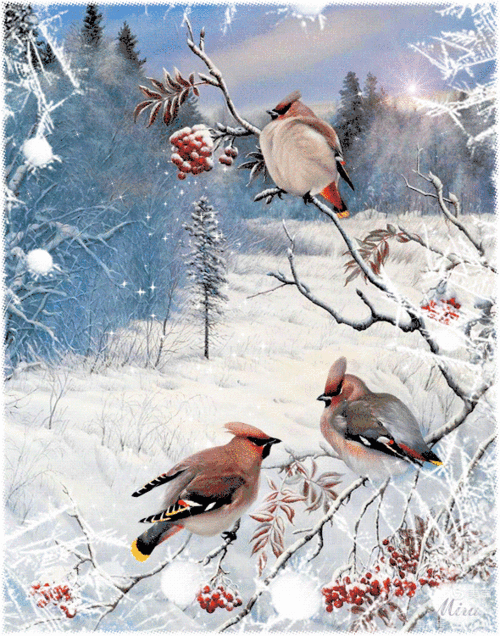 590_750竖版 竖屏gif 动态图 动图