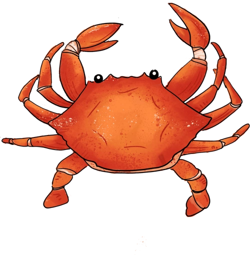 将处理干净的花蟹斩块备用,将大米煮软后放入螃蟹,姜丝,出锅前再撒入