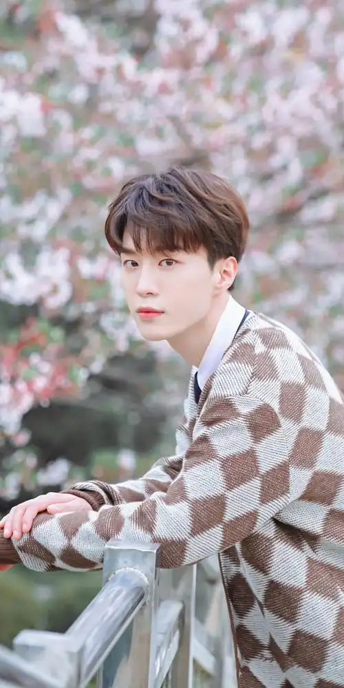 范丞丞樱花壁纸