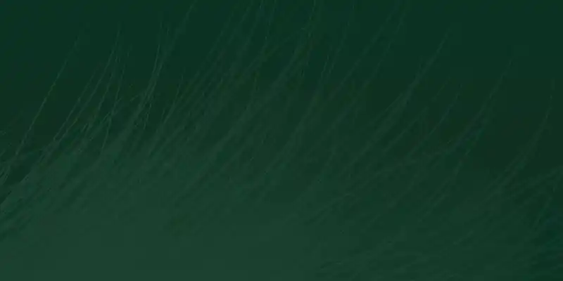 墨绿色背景