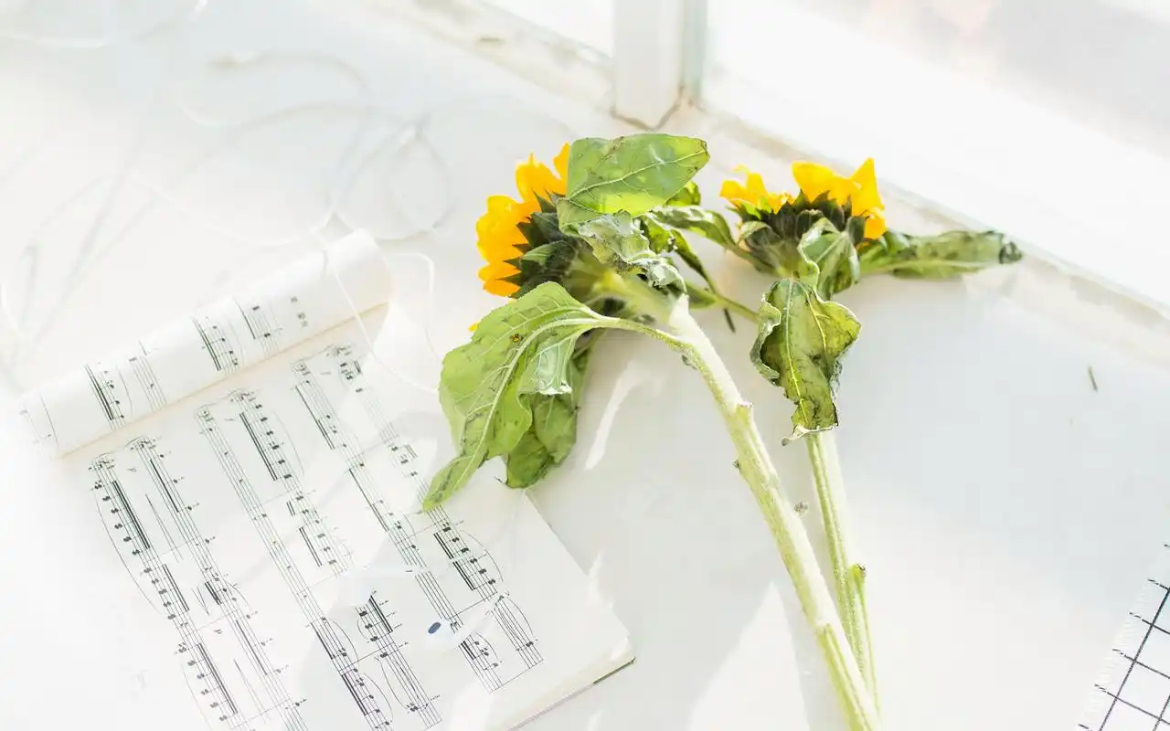 简约小清新唯美治愈系意境壁纸