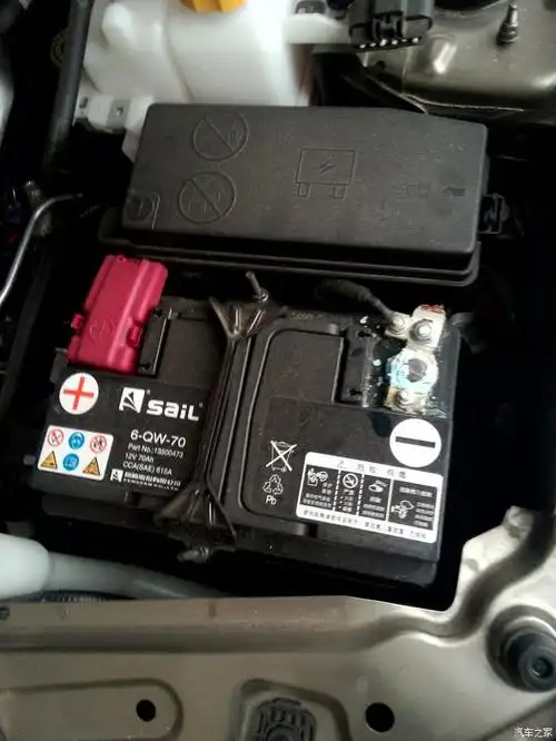 科帕奇电瓶负极长绿毛求围观