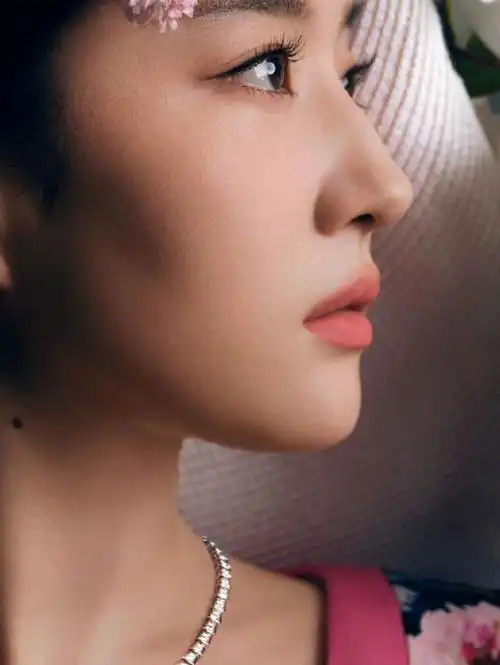 刘亦菲神级侧颜