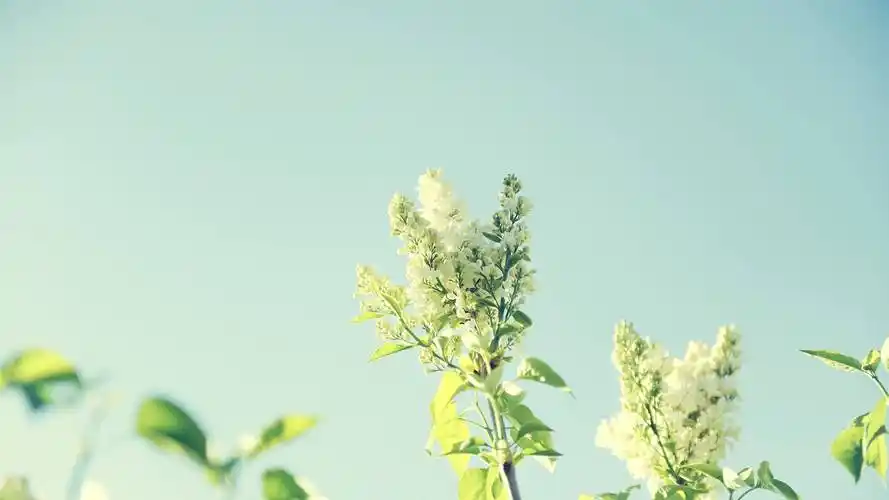 开朗大方,善良真诚,这5星座是真性情达人,让人觉得亲近无比_朋友_性格