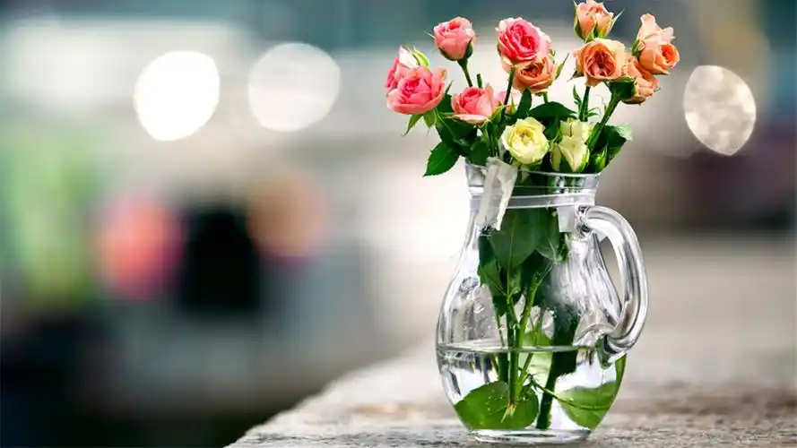 高清壁纸 唯美花卉锁屏高清电脑壁纸下载 上一张 下一张 2021年牛年