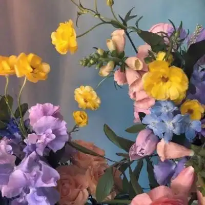 鲜花唯美风景意境 内容简介 一组适合中年人做的微信花朵头像图片