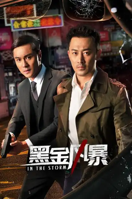 《黑金风暴》电视剧全集免费在线观看-民当归影院