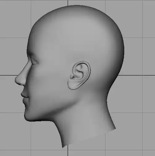 人头3d模型_下载页面_直线网_专业的设计学习交流平台