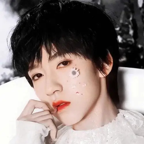 爱豆头像|tnt时代少年团 贺峻霖