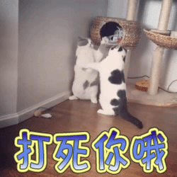 打死你哦gif动图_动态图_表情包下载_soogif